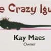 thecrazyiguana
